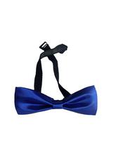 Men Bow Tie – Blue