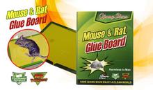 Green Mouse And Rat Trap Glue Boards (5 Pieces)
