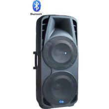 CG 15 Inch Double Speaker Trolley Speaker CG-TS15B01D