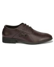 Brown Lace up shoes For Men