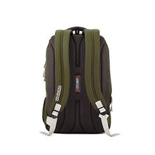 American Tourister 30.5 Ltrs Olive Laptop Backpack (AMT