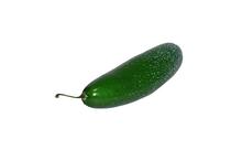 Cucumber Foam Toy (Green)