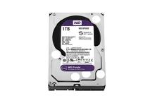 WD Purple Surveillance 1TB Hard Drive