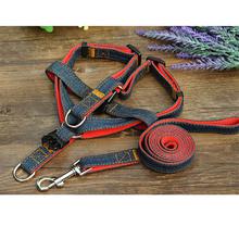 Jeans Dog Belt with Leash (DB-6)