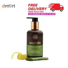 SoulTree Anti-Dandruff Shampoo- 250 ml