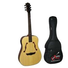 Dreammaker 100 Model Acoustic Guitar With Guitar Bag