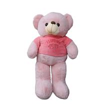 Pink Teddy Bear(I Love You)