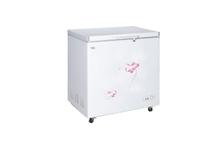 CG DF1603H 160L Chest Freezer - (White)