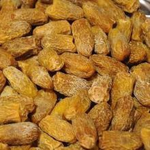 Dry Yellow Dates - Chokada