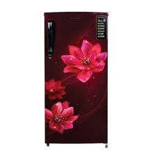 242 Liter Single Door Refrigerator