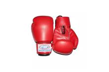 F.B.T Boxing Gloves(Red)