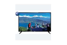 CG 43" Smart  LED TV (CG43DC100S)