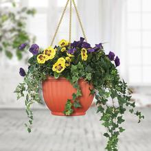 Ceiling Hanging Flower Pots (Self Watering)