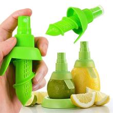 Fruit Spray Tool Juice Extractor - (AFN1)