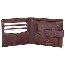 WildHorn Brown Men's Wallet