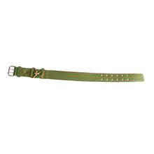 Green Dog Belt