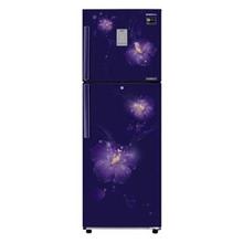 RT28M3352U3/IM-253 L  Double Door Refrigerator