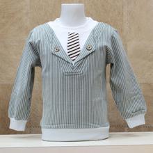 Baby Boy SweatShirt (CI-LHM244-A01)