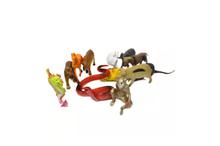 Animals Toy Set For Kids - 12 Animals