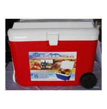 Ice Box Large - 48L