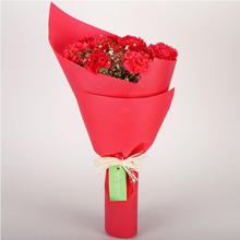 10 Red Carnation With Paper Packing-F&P Bouquet 11