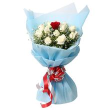 10 white, 1 red roses with blue non woven packing