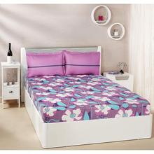 Amazon Brand - Solimo Floral Spurt 144 TC 100% Cotton Double