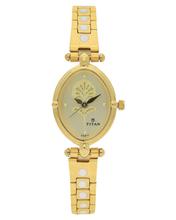 Titan Champagne Dial Analog Watch - 2419Ym03