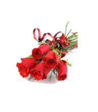 Valentine Sweet Love with Red Rose