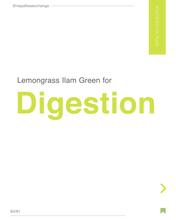 Lemongrass Ilam Green Tea For Weight Loss and Digestion - Nepal Tea Exchange - 100g