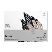 Winsor & Newton Extra Smooth Bristol Board Gummed Pad - A2, 250 GSM, 20 Sheets, Bright White