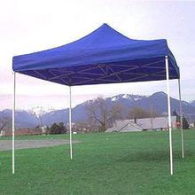 Canopy Tent (10' x 10')