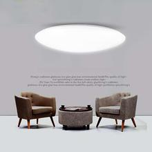 Modern Simple LED Ceiling Lamps 18W For Living Room Bathroom Home Lighting