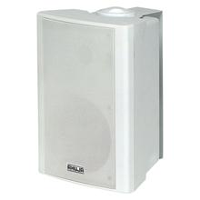 Ahuja PS500T 32 Watts Wall Speaker