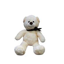 White Small Size Teddy