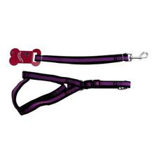 Purple/Black Pet Body Belt-Large