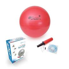66fit Gym Ball 45cm with Pump & DVD