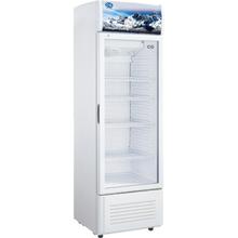 CG 320ltr Show Case CG3203SC