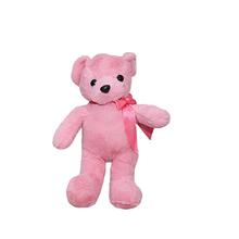 Pink Small Size Teddy