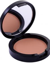 Paese Mattifying & Covering Pressed Powder 2D