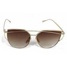 Tortoise Brown Classic Plastic Sunglasses For Women
