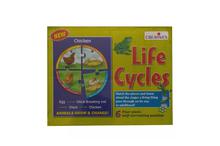 Creative Educational Aids Life Cycles Puzzle Game- Multicolored