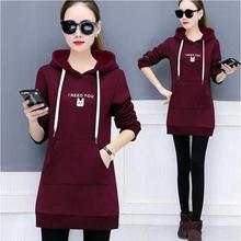 Winter New Hoodie Sweatshirt Women Solid Casual Loose Zipper