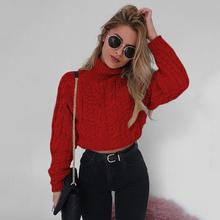 Women Casual Long Sleeve Turtleneck Crop Sweaters