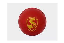 SG Everlast Cricket Ball Synthetic