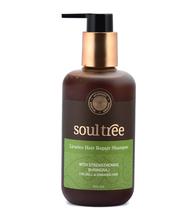 Soul Tree Licorice Hair Repair Shampoo - 250 Ml