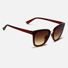 SQ.Wayfarer in  Shaded Brown Lens with Brown Nylon Frame