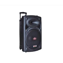 CG 12 Inch Trolley Speaker CGTS12C01