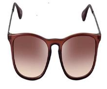 Square Wayfarer in Shaded Brown Lenses