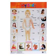 Learning About Body Parts Educational Wall Chart Poster